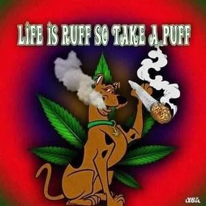 Meet your Posher, Bruce